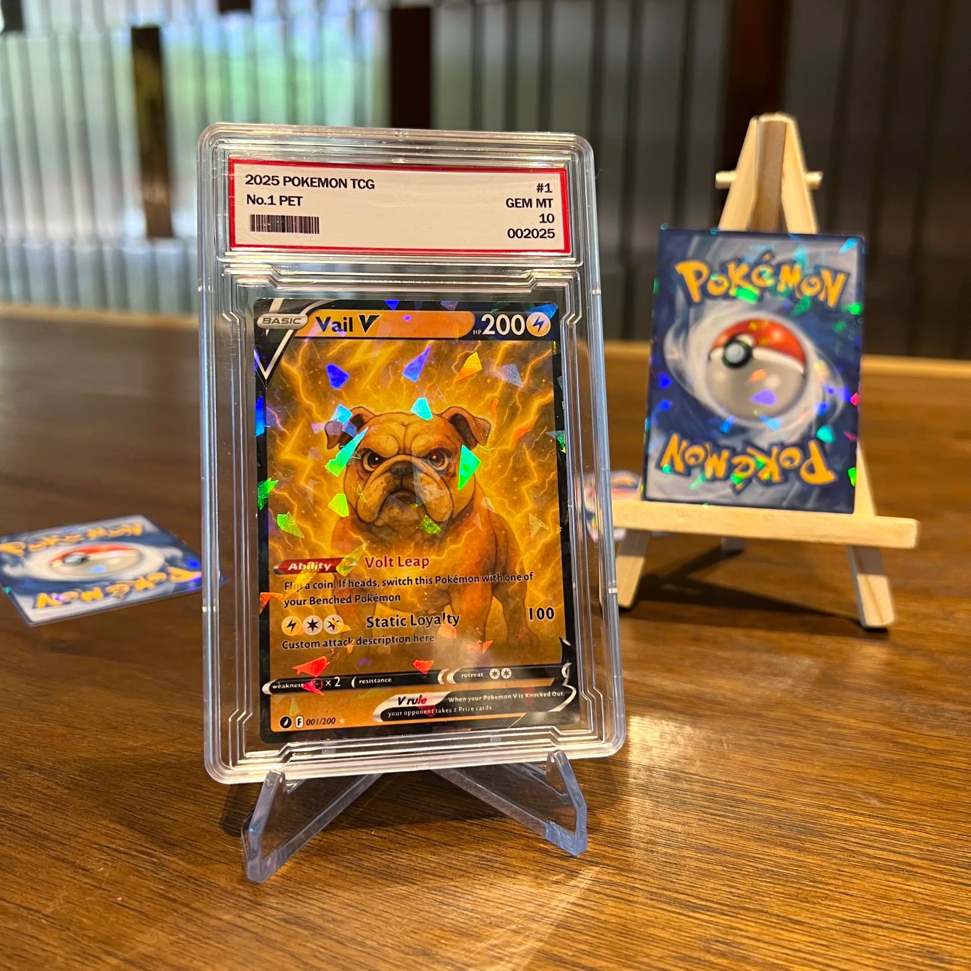 Custom Anime Pet/You Team V Card Pokecard