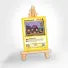Custom Anime Pet Pokecard V Card For Pet